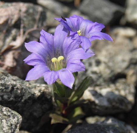 �n�������h�E