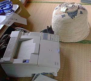 こんなに小さい