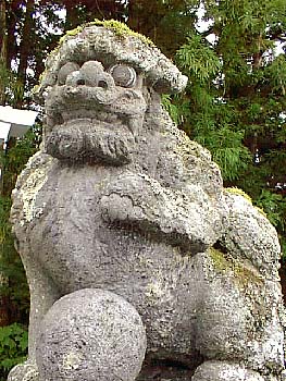 目が丸いでしょ